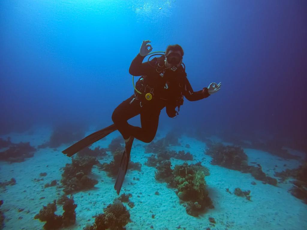 Daliy Diving in Hurghada hurghada diving -diving hurghada Diving in Hurghada Prices